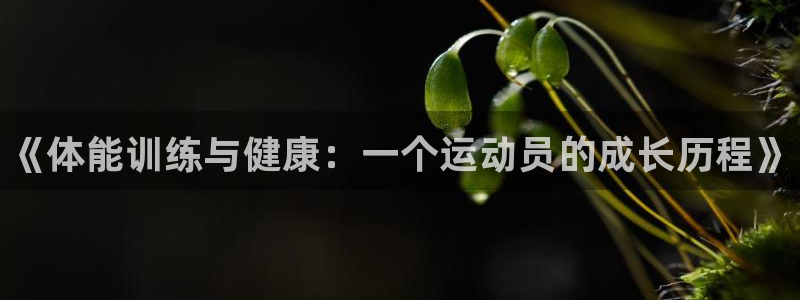 必发官网下载平台注册要钱吗：《体能训练与健康：一个运