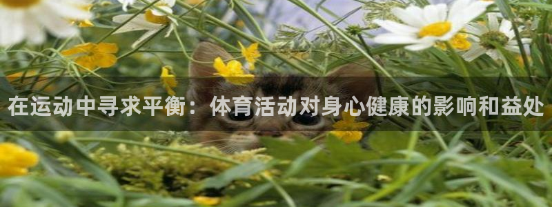 必发官网下载招商电话是多少：在运动中寻求平衡：体育活