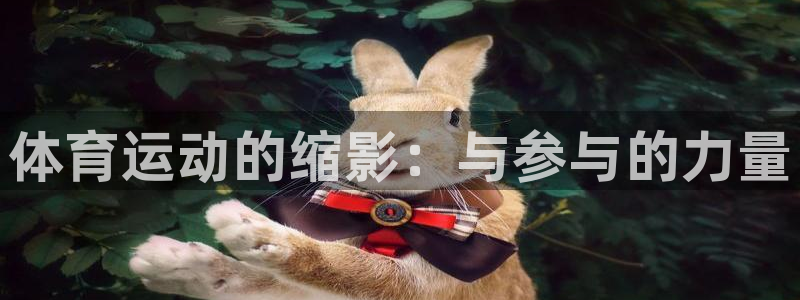 必发官网下载招商电话号码：体育运动的缩影：与参与的力量