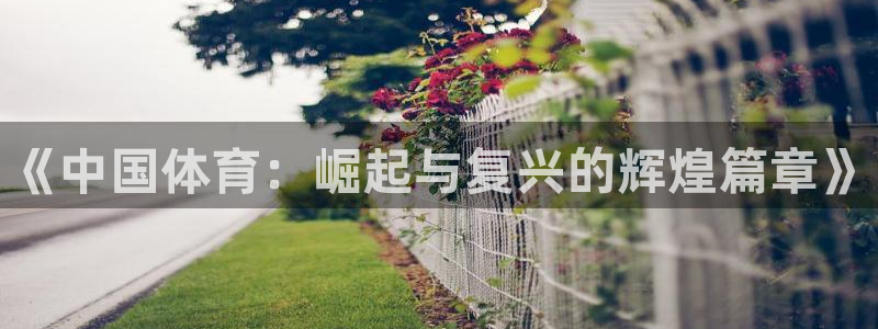 必发官网下载开户：《中国体育：崛起与复兴的辉煌篇章》