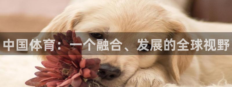 必发官方正版app集团logo