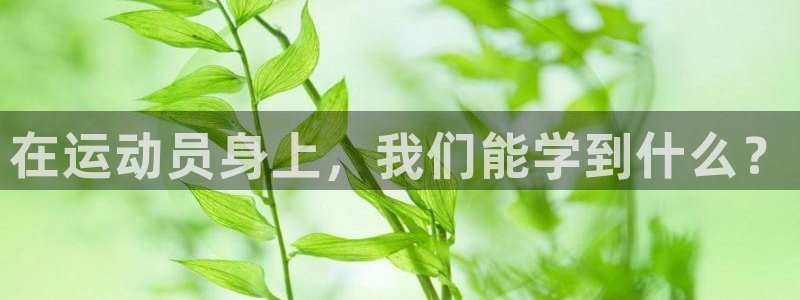 必发官网下载平台是正规平台吗知乎：在运动员身上，我们