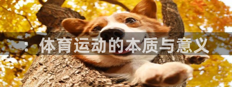 必发官网下载是干嘛的公司：：体育运动的本质与意义