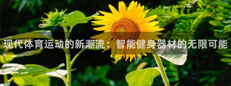 必发官网下载娱乐：现代体育运动的新潮流：智能健身器材