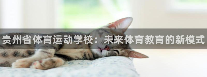 必发官方正版app娱乐代理怎么样：贵州省体育运动学校