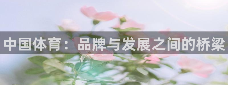 必发官方集团官网：中国体育：品牌与发展之间的桥梁