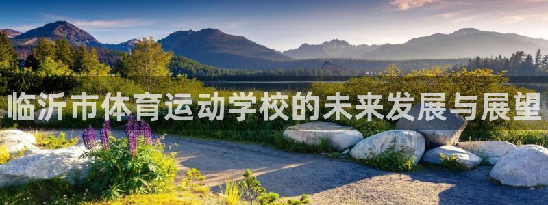 必发官网下载联系电话：临沂市体育运动学校的未来发展与展望
