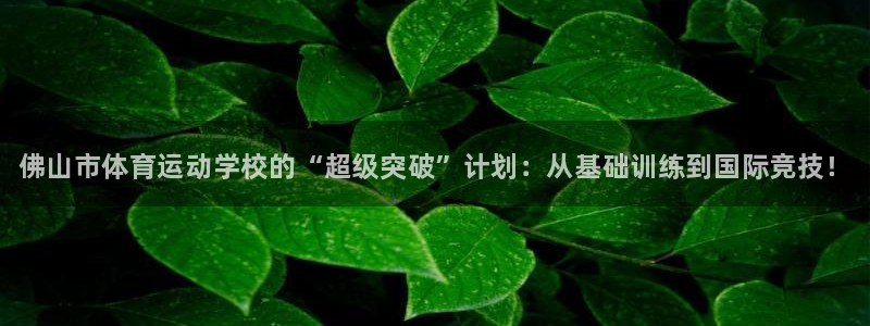 必发官网下载联系电话：佛山市体育运动学校的“超级突破”计划：