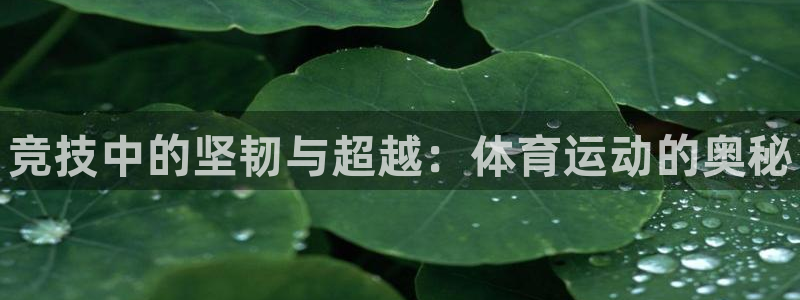 必发官网下载招商