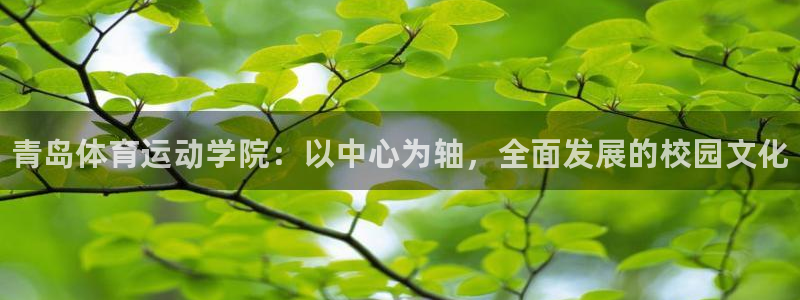 必发官网下载招商电话号码查询是多少：青岛体育运动学院：以中心