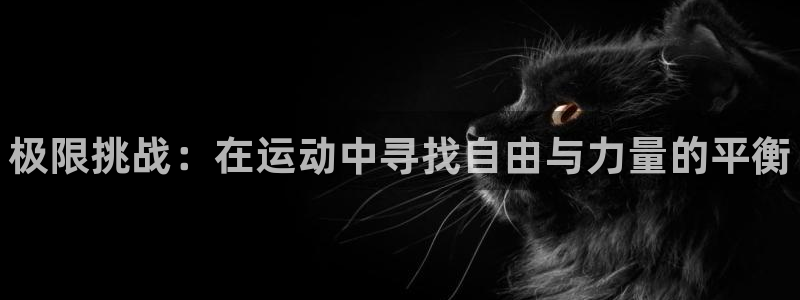 海南必发官网下载：极限挑战：在运动中寻找自由与力量的平衡