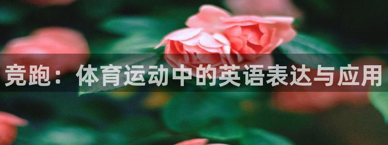 必发官网下载招商电话号码是多少啊：竞跑：体育运动中的英语表达