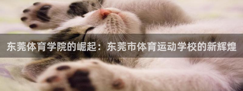 必发官网下载招商：东莞体育学院的崛起：东莞市体育运动