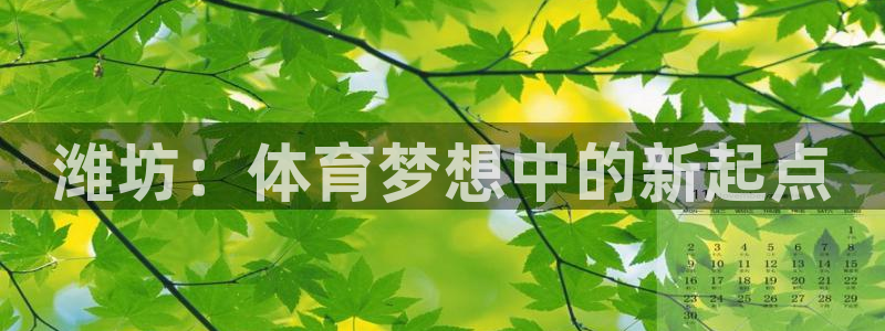 必发官网下载联系电话：潍坊：体育梦想中的新起点