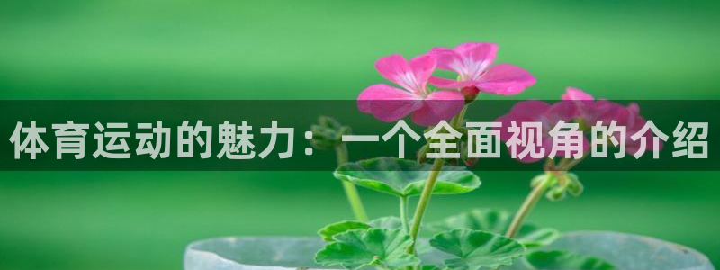 必发官网下载招商：体育运动的魅力：一个全面视角的介绍