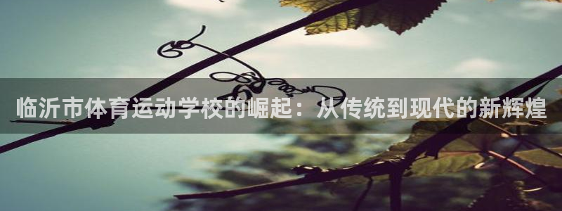 必发官网下载平台注册要钱吗是真的吗：临沂市体育运动学校的崛起