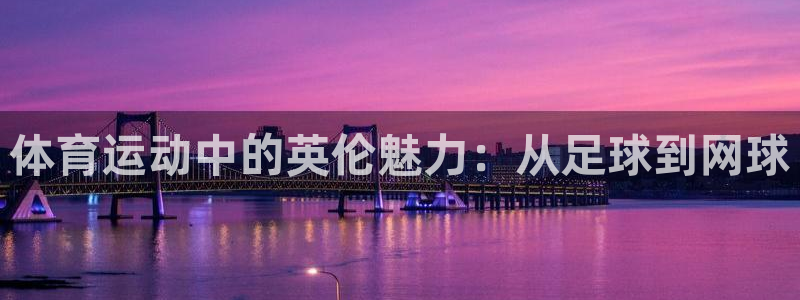 必发官方正版app科技