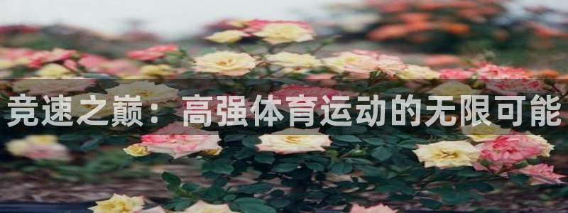 必发官方集团官网