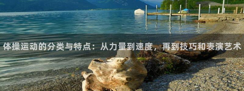 必发官网下载平台注册要钱吗是真的吗：体操运动的分类与