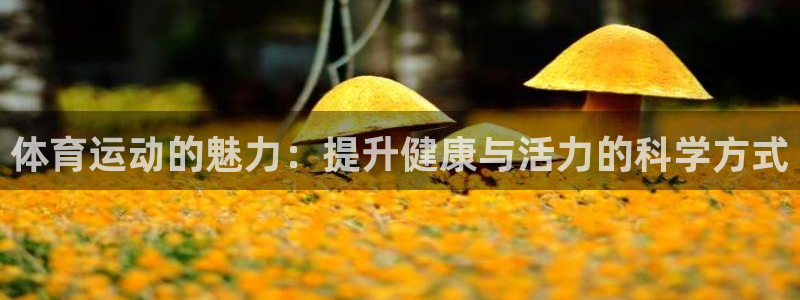 海南必发官网下载