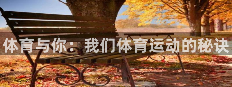 必发官方正版app科技：体育与你：我们体育运动的秘诀