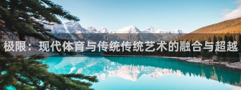 必发官方正版app新能源：极限：现代体育与传统传统艺