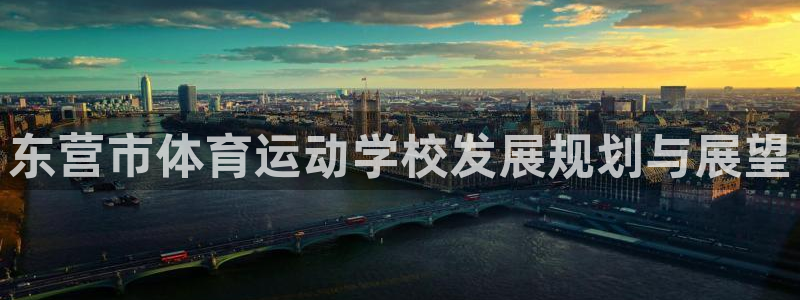 必发官网下载平台是正规平台吗知乎：东营市体育运动学校发展规划