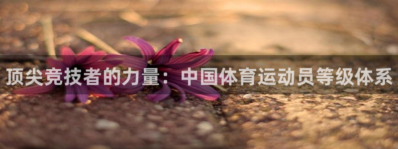 必发官网下载平台是正规平台吗知乎